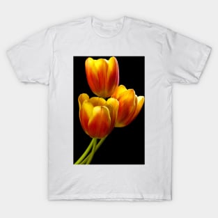 Tulip Trio - Heat Wave T-Shirt